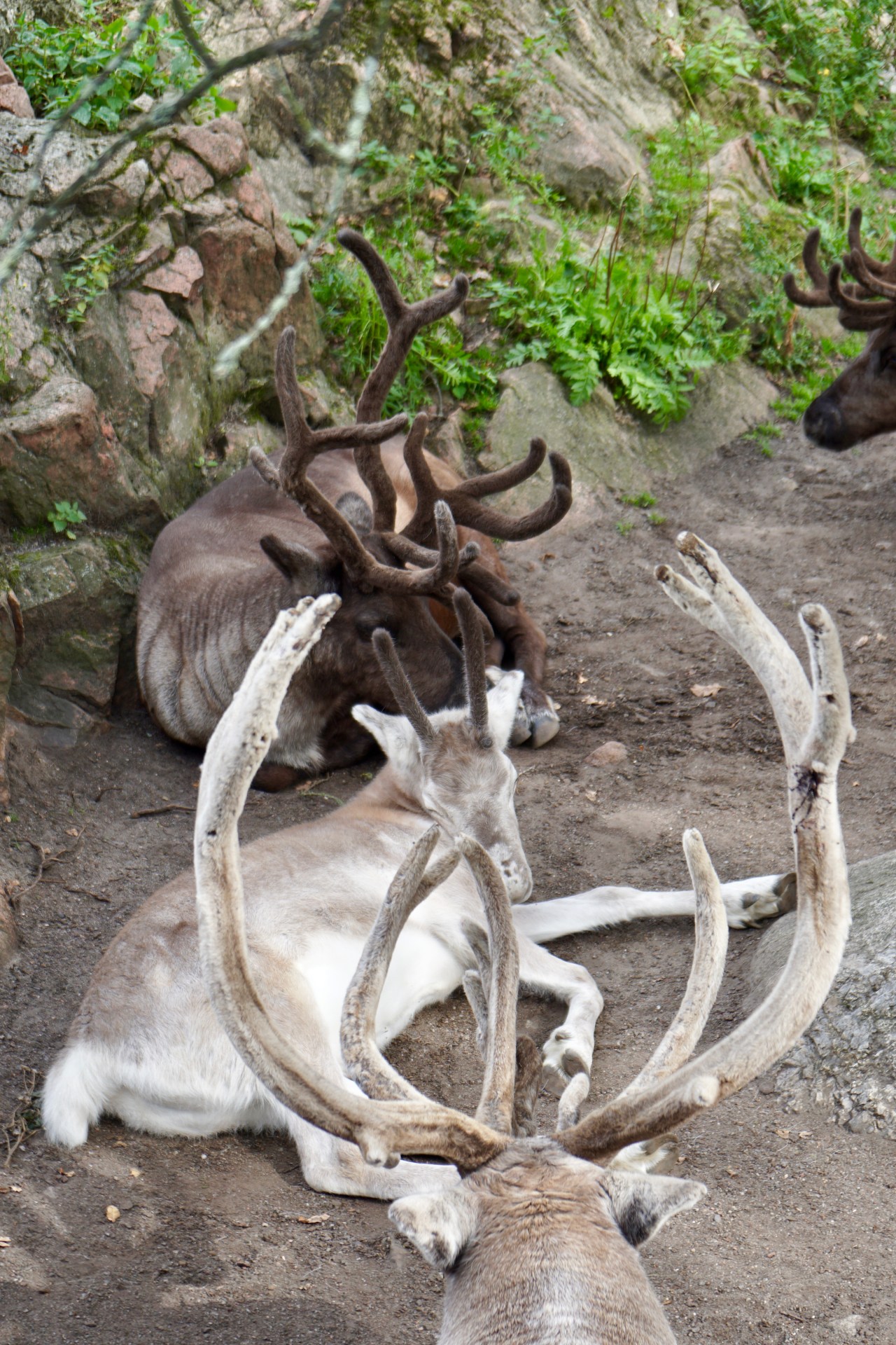 War ship, Wildlife and Waterways