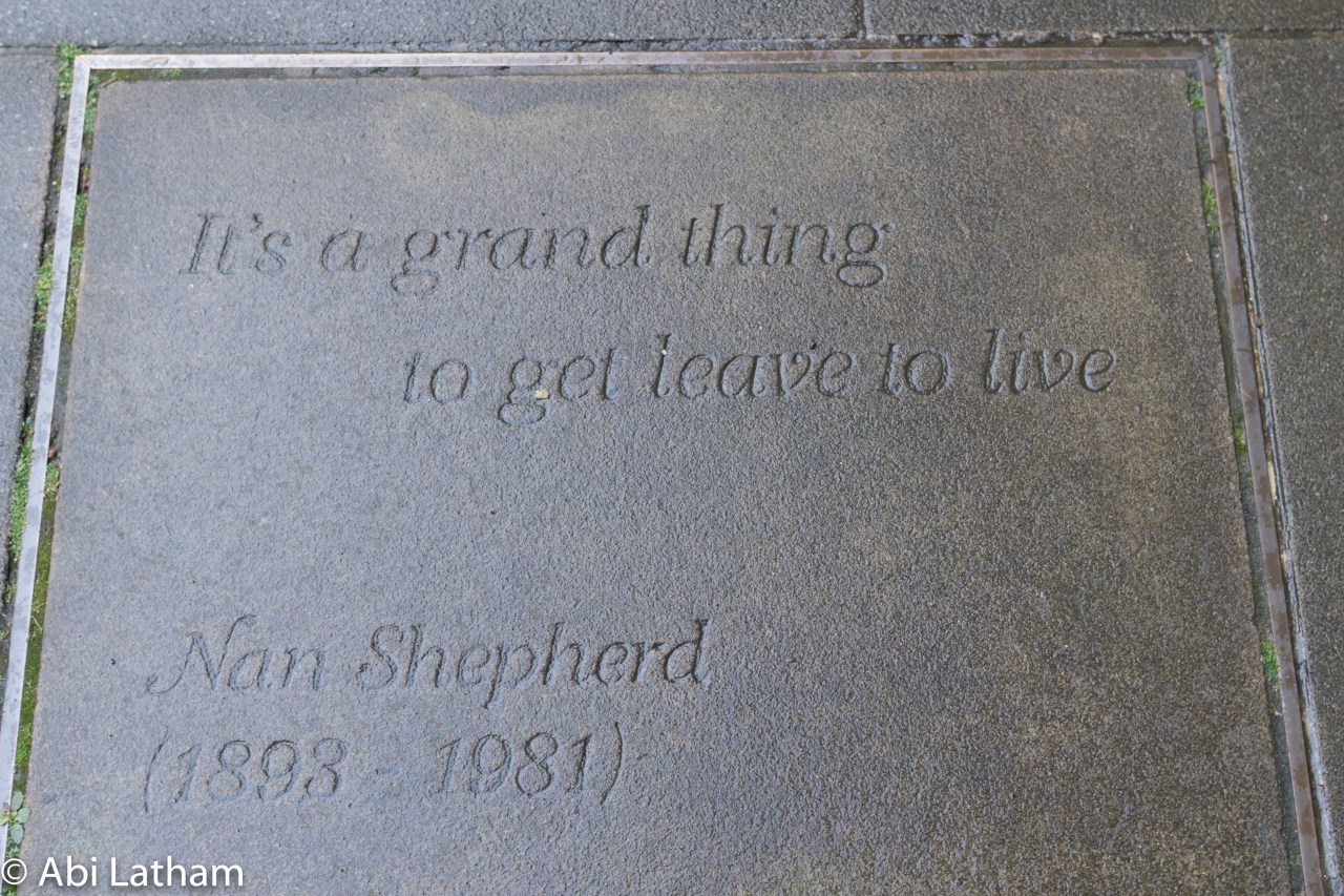 It is a grand thing to take leave to live – Nan&nbsp;Shepherd