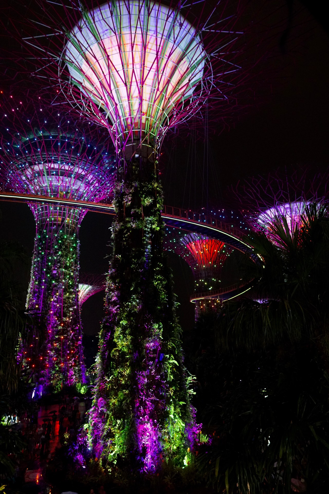 Sentosa Island, Satay and Night Garden Trees