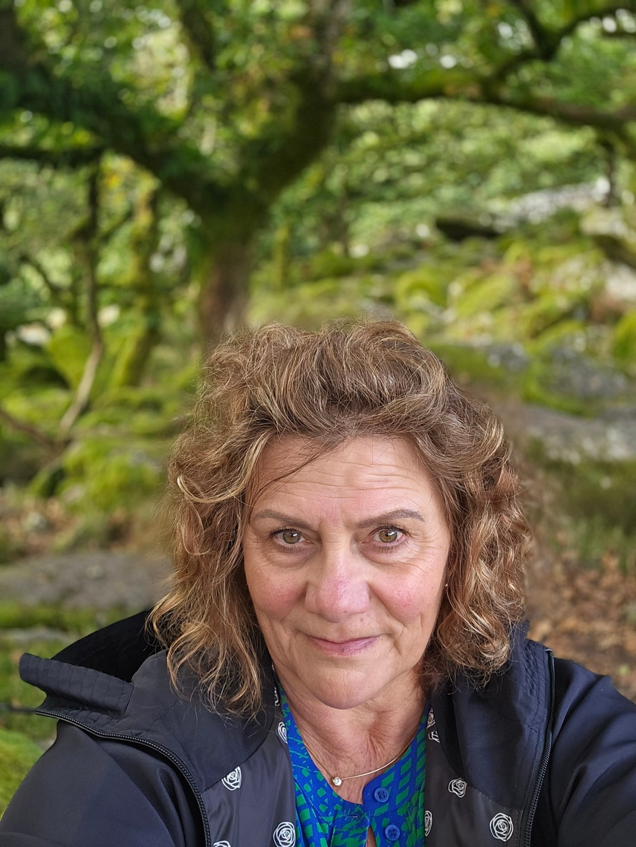 Day 11 – The oak, the robin and Wistman’s Wood