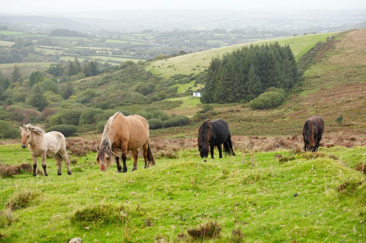 Day 12 – Grounding on the Moors