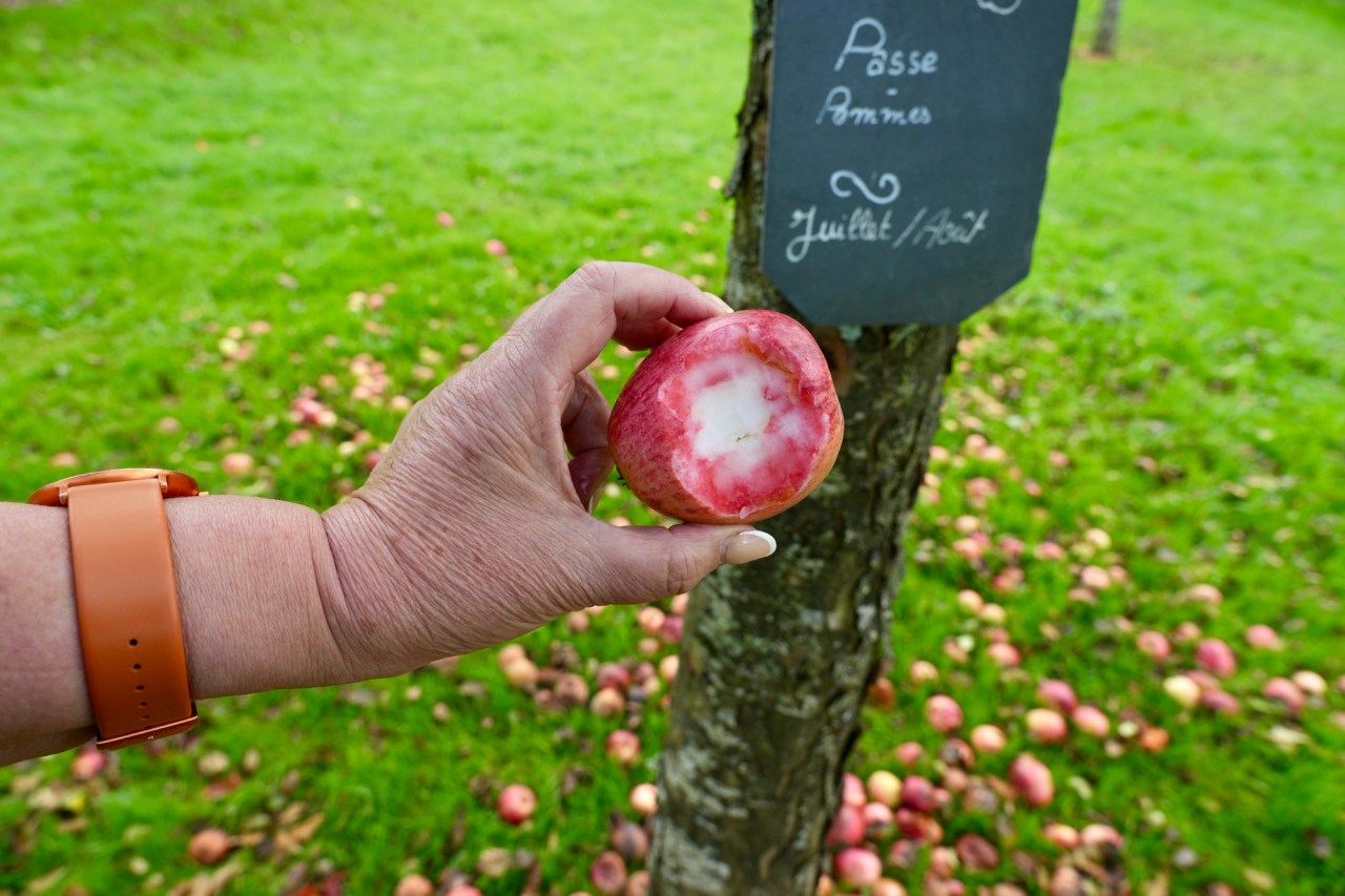 Day 23 – Cider trail