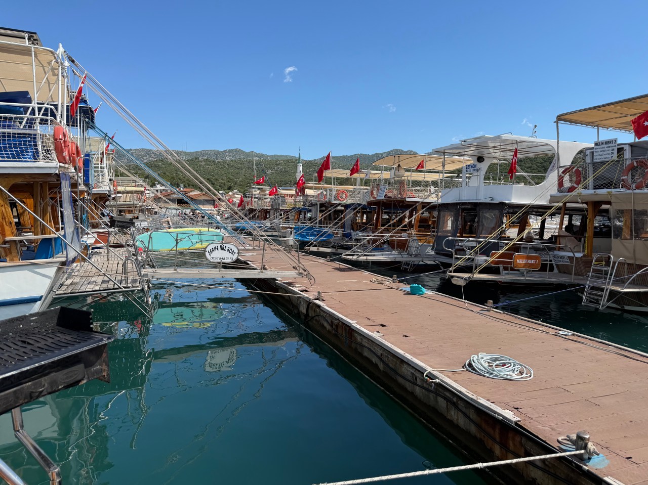 D7 – Cruisy&nbsp;day