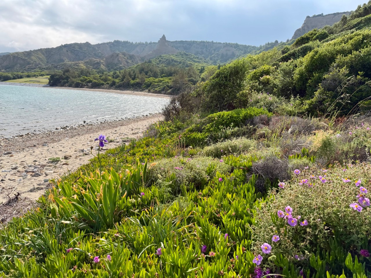 D15 – Gallipoli to&nbsp;Istanbul