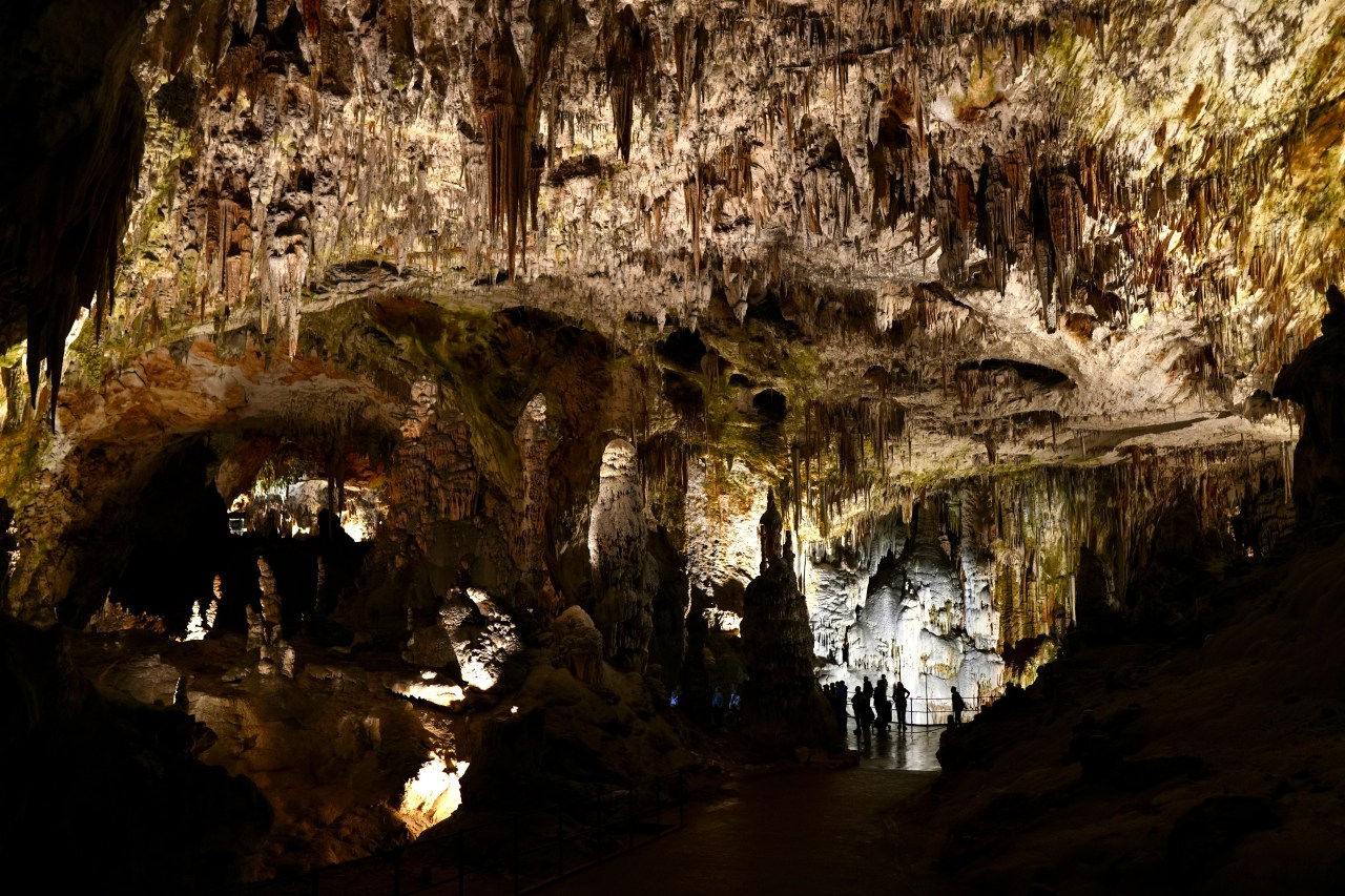 D38 – Ancient caves and Baby&nbsp;dragons