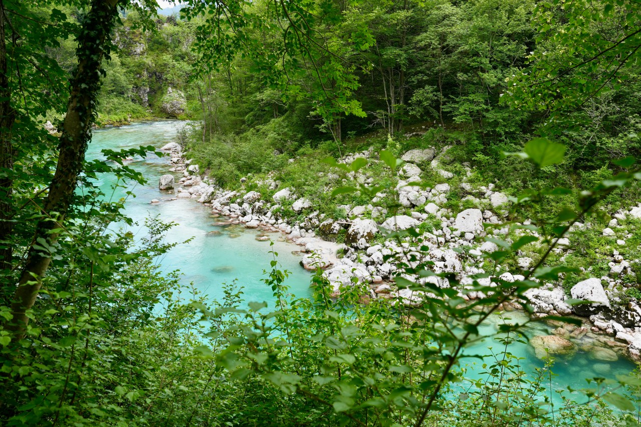 D41 – Alpine Eden – Soca Valley