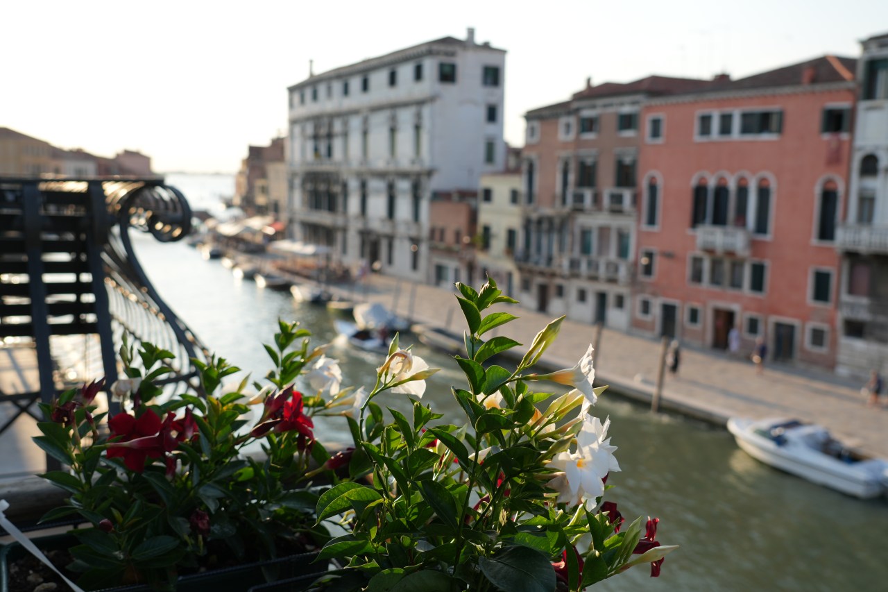 D43 – Venice you still have the magic