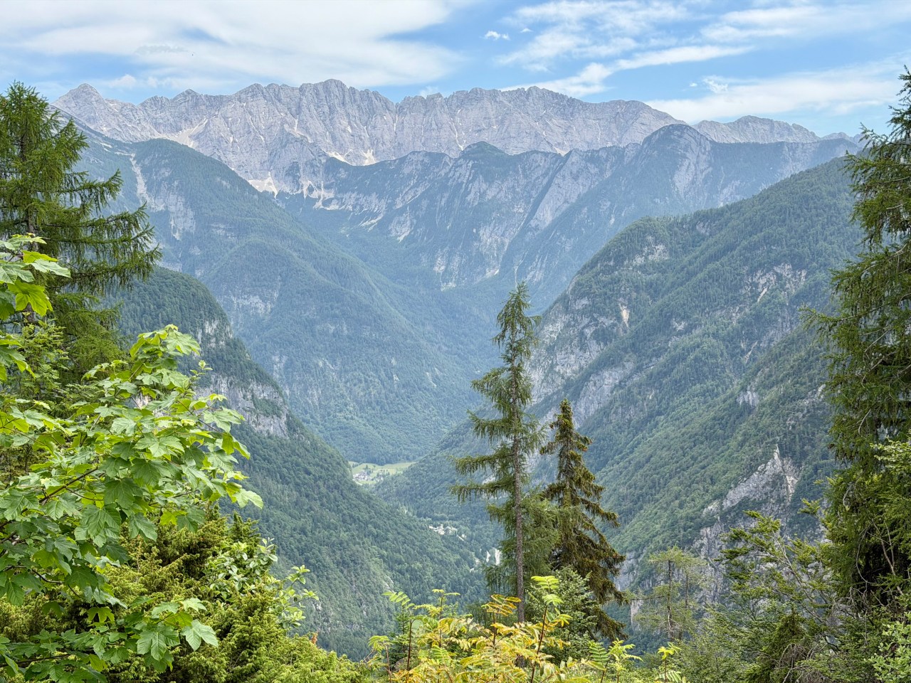 D40 – Alpine discovery – where is our booking?